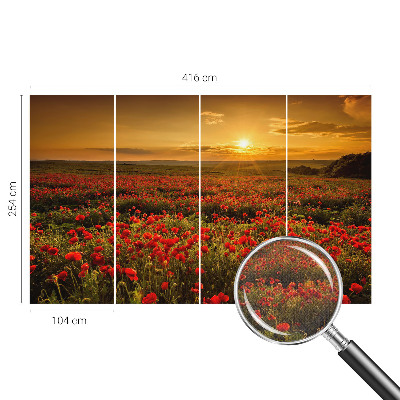 Dječja foto tapeta Polje maka