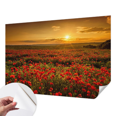 Dječja foto tapeta Polje maka