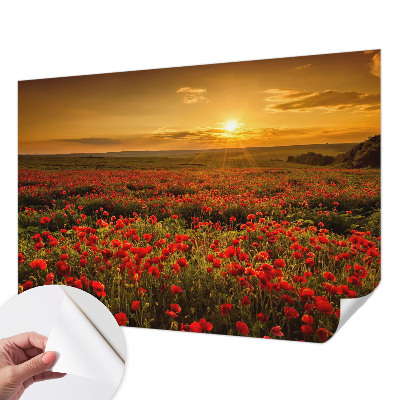 Dječja foto tapeta Polje maka