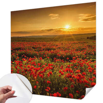 Dječja foto tapeta Polje maka