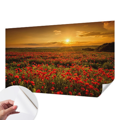 Dječja foto tapeta Polje maka