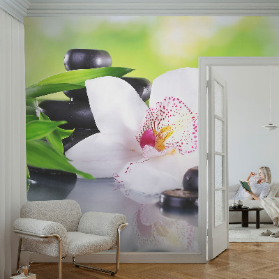 Fototapeta Mir prirode