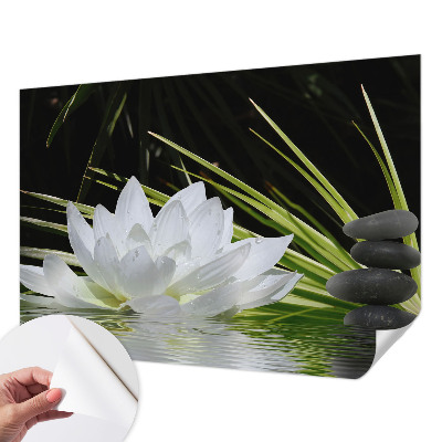 Samoljepljiva fototapeta za dnevni boravak Meditacija s ljiljanom