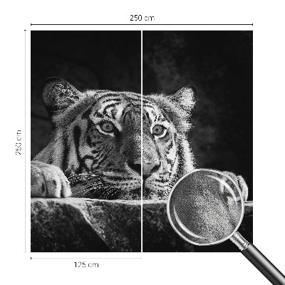 Fototapeta Grabežljivi izgled