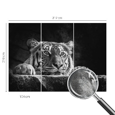 Fototapeta Grabežljivi izgled
