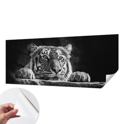 Fototapeta Grabežljivi izgled