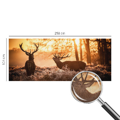 Samoljepljiva foto tapeta Jelen ujutro