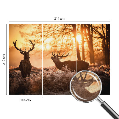 Samoljepljiva foto tapeta Jelen ujutro