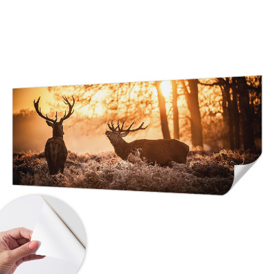Samoljepljiva foto tapeta Jelen ujutro