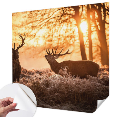 Samoljepljiva foto tapeta Jelen ujutro