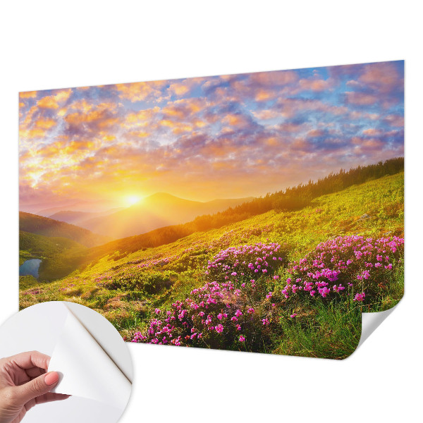 Dječja fototapeta Planinski zapad