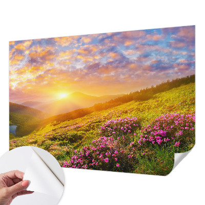Dječja fototapeta Planinski zapad