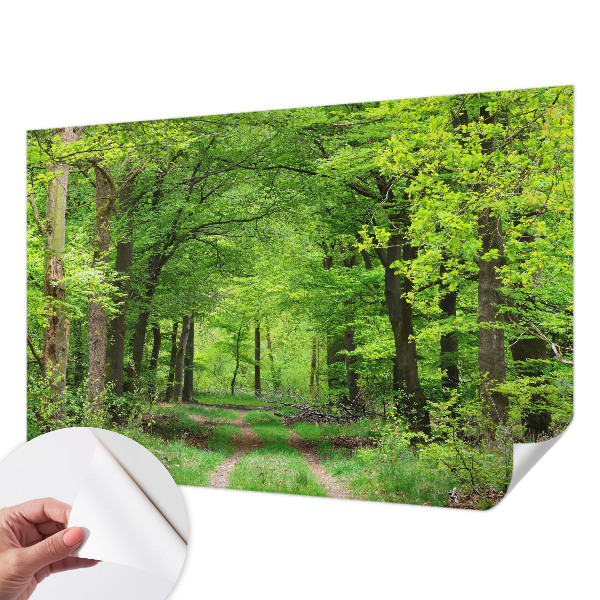 Foto tapeta za dječju sobu Šumska staza