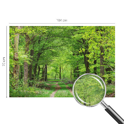 Foto tapeta za dječju sobu Šumska staza