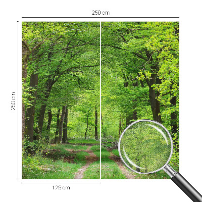 Foto tapeta za dječju sobu Šumska staza