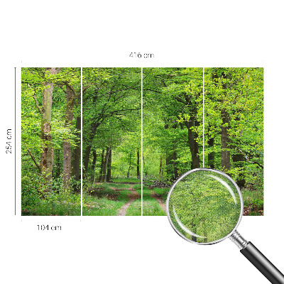 Foto tapeta za dječju sobu Šumska staza