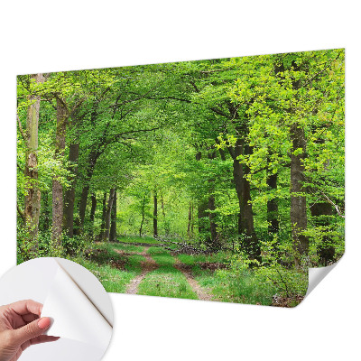 Foto tapeta za dječju sobu Šumska staza