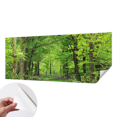 Foto tapeta za dječju sobu Šumska staza