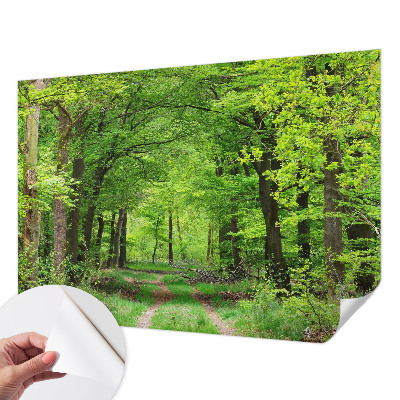 Foto tapeta za dječju sobu Šumska staza