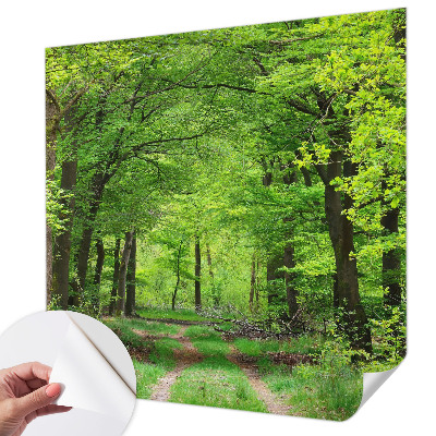 Foto tapeta za dječju sobu Šumska staza