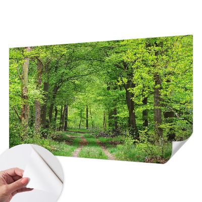 Foto tapeta za dječju sobu Šumska staza