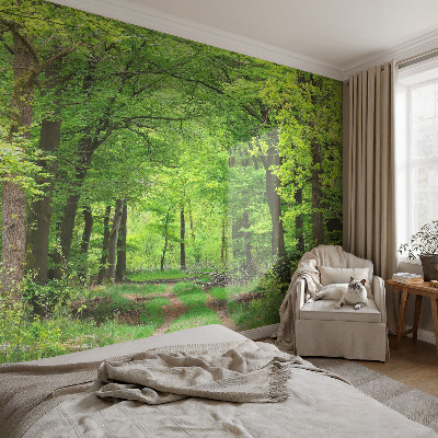 Foto tapeta za dječju sobu Šumska staza