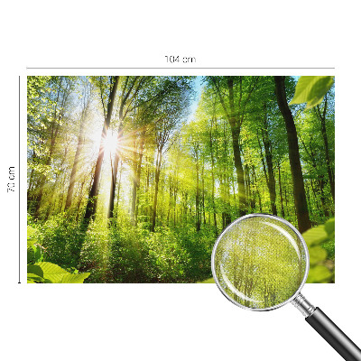Fototapeta za dječju sobu Šumsko svjetlo