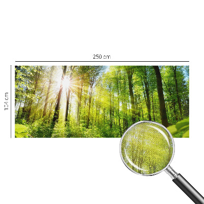 Fototapeta za dječju sobu Šumsko svjetlo