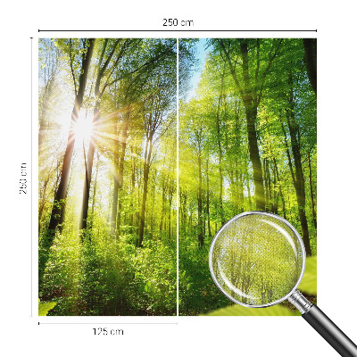 Fototapeta za dječju sobu Šumsko svjetlo