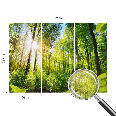 Fototapeta za dječju sobu Šumsko svjetlo