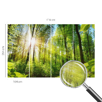 Fototapeta za dječju sobu Šumsko svjetlo