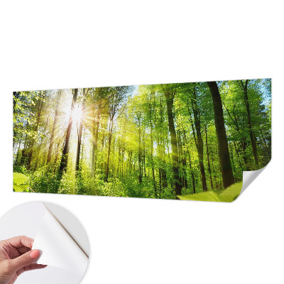 Fototapeta za dječju sobu Šumsko svjetlo