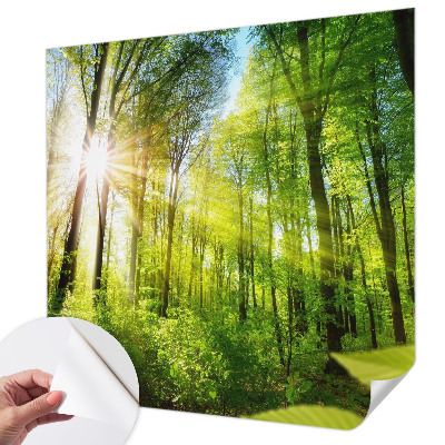 Fototapeta za dječju sobu Šumsko svjetlo