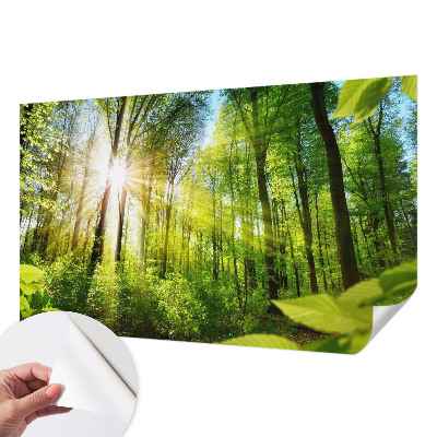 Fototapeta za dječju sobu Šumsko svjetlo