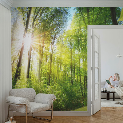 Fototapeta za dječju sobu Šumsko svjetlo