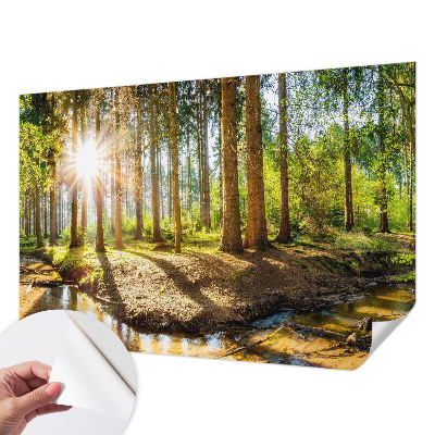 Foto tapeta Šumska idila