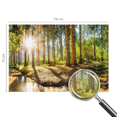 Foto tapeta Šumska idila