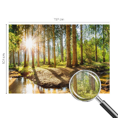 Foto tapeta Šumska idila