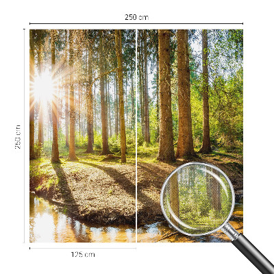 Foto tapeta Šumska idila