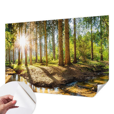 Foto tapeta Šumska idila