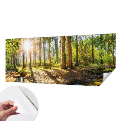 Foto tapeta Šumska idila