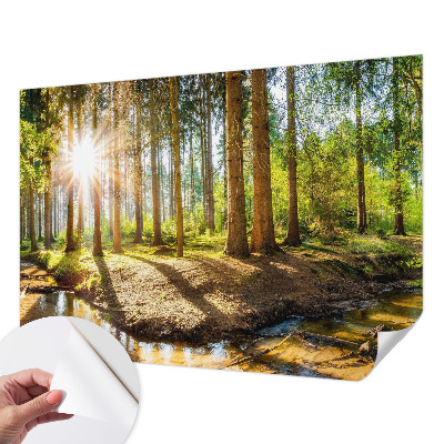 Foto tapeta Šumska idila