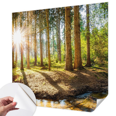 Foto tapeta Šumska idila