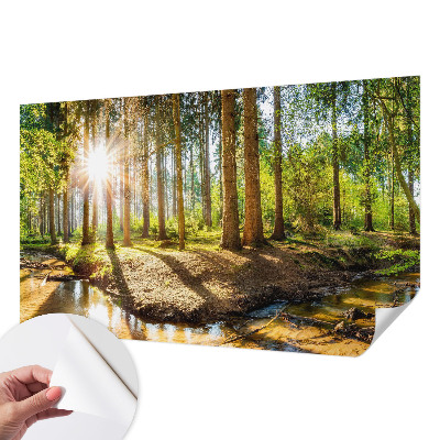 Foto tapeta Šumska idila