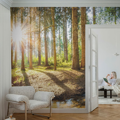 Foto tapeta Šumska idila