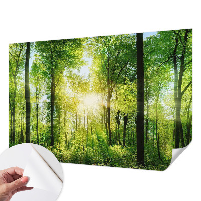 Samoljepljiva fototapeta s motivom šume u umirujućim tonovima