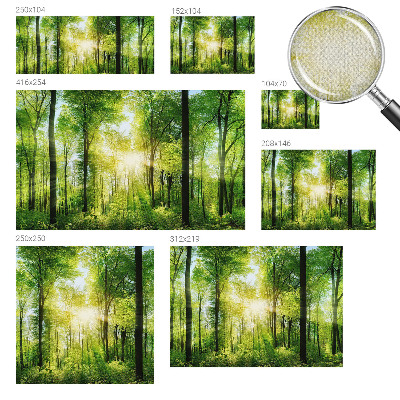Samoljepljiva fototapeta Šumska harmonija
