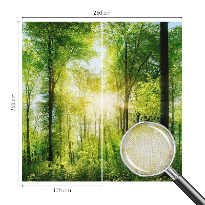 Samoljepljiva fototapeta Šumska harmonija