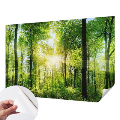 Samoljepljiva fototapeta Šumska harmonija