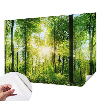 Samoljepljiva fototapeta Šumska harmonija